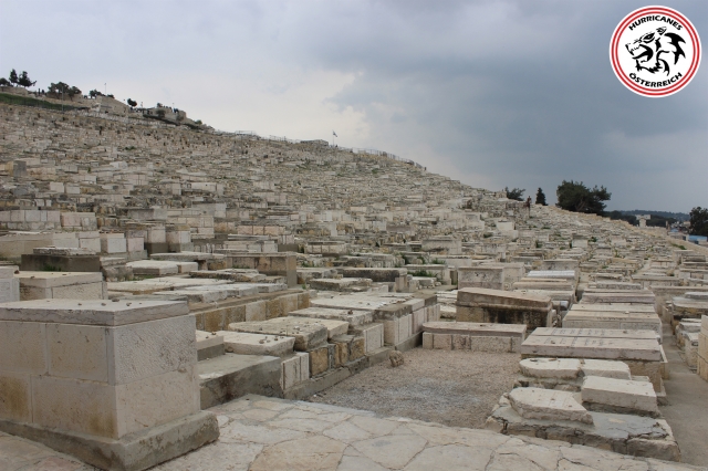 israel - oesterreich 24.3.2019 64